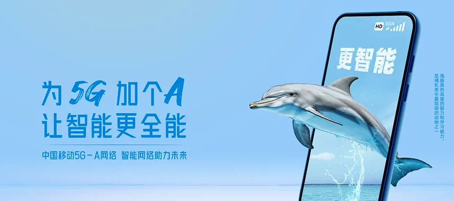 印江印江土家族苗族自治县杉树镇 移动宽带